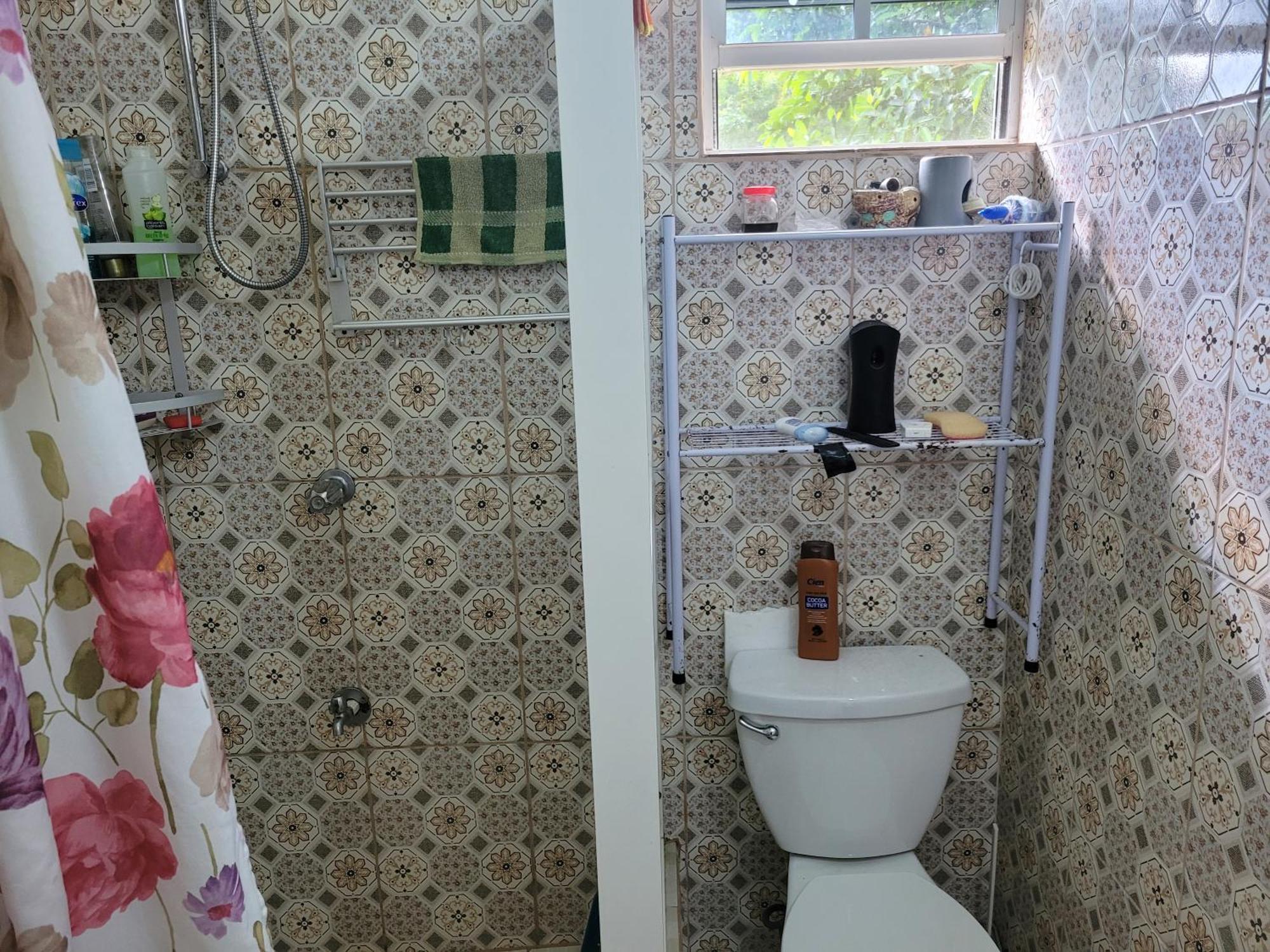 Tim'S & Mag'S Home Stay Roseau Extérieur photo